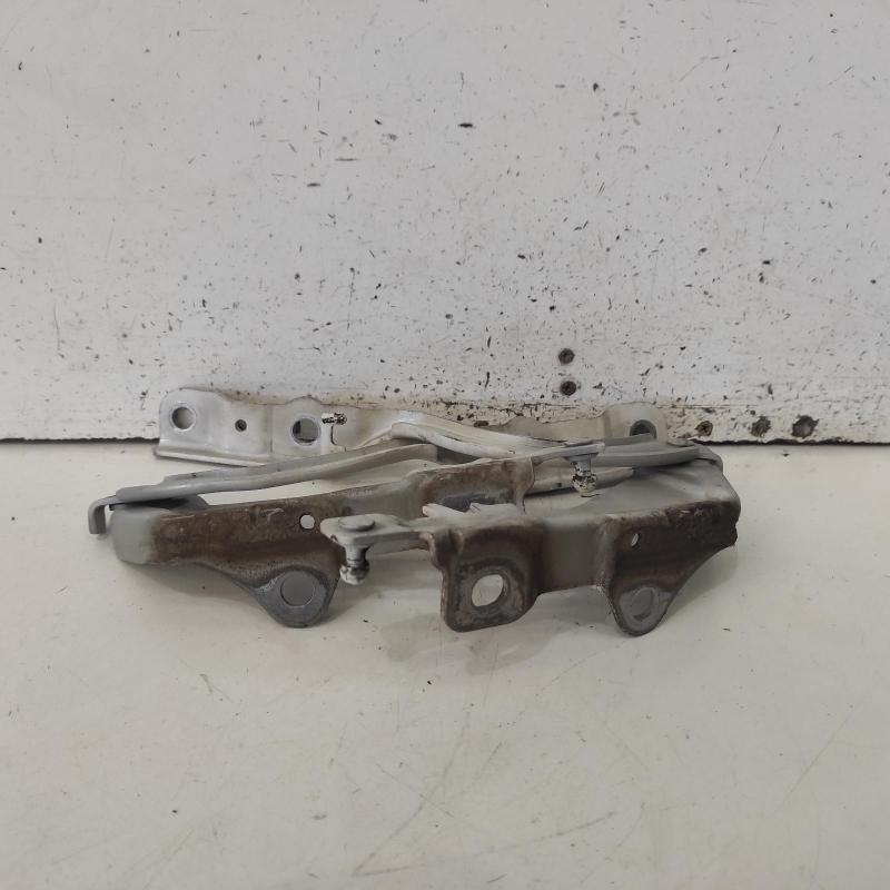 bonnet hinge/strut