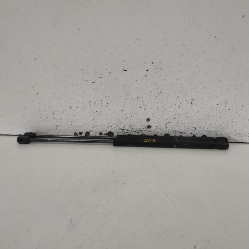 bonnet hinge/strut