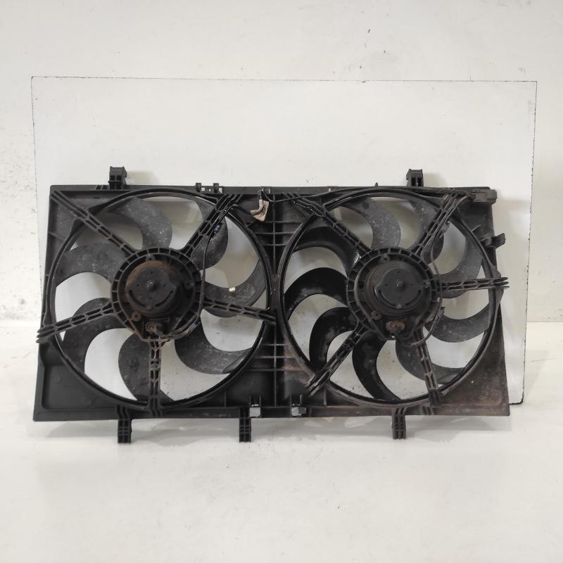 fan