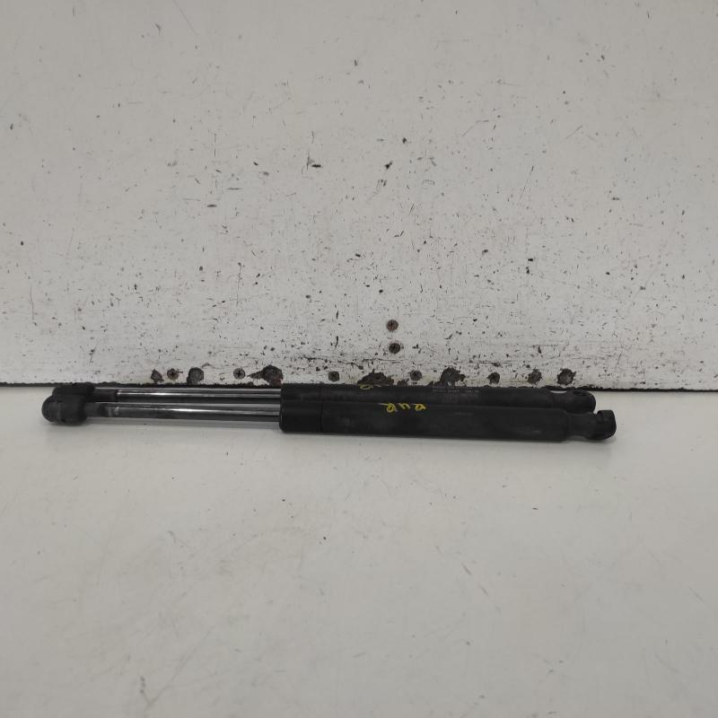 hatch strut