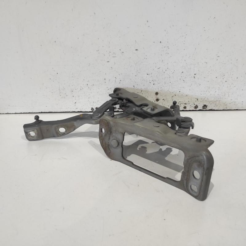 bonnet hinge/strut