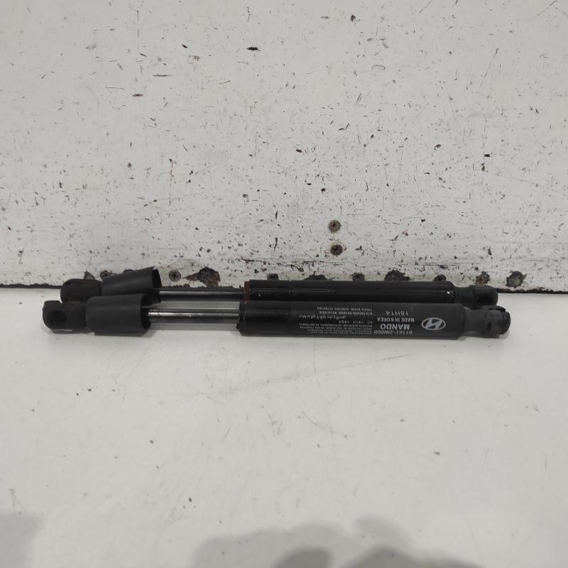 bonnet hinge/strut