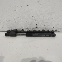 bonnet hinge/strut