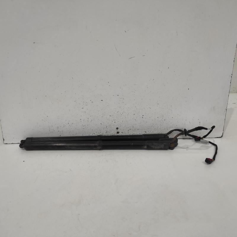 hatch strut