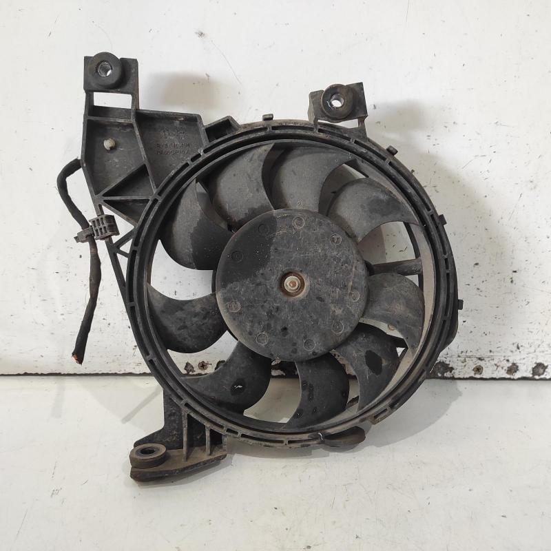 fan