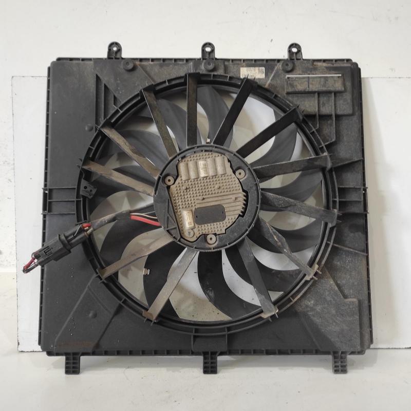 fan