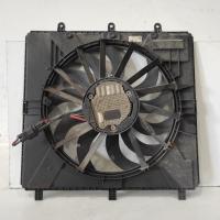 fan