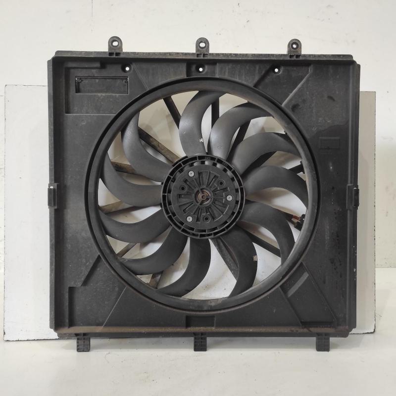 fan