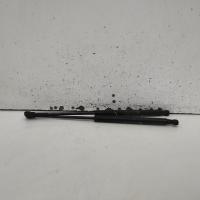 bonnet hinge/strut