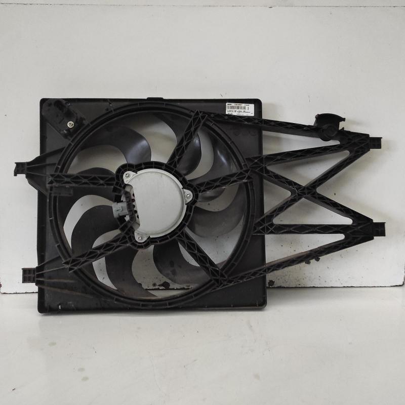 fan