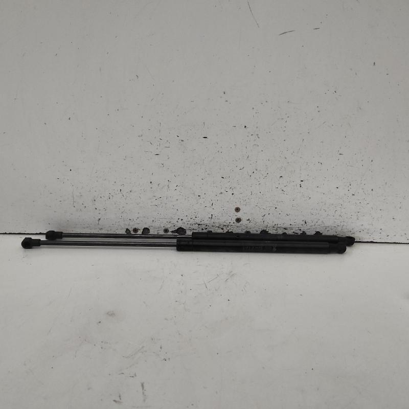 hatch strut