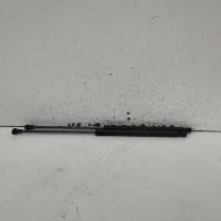 hatch strut