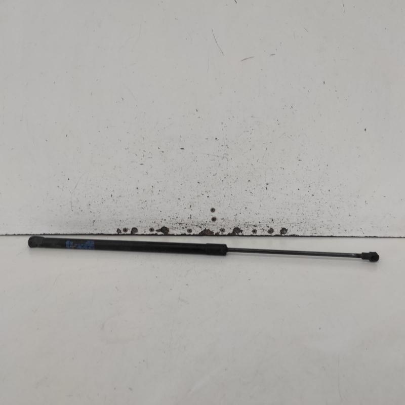 hatch strut