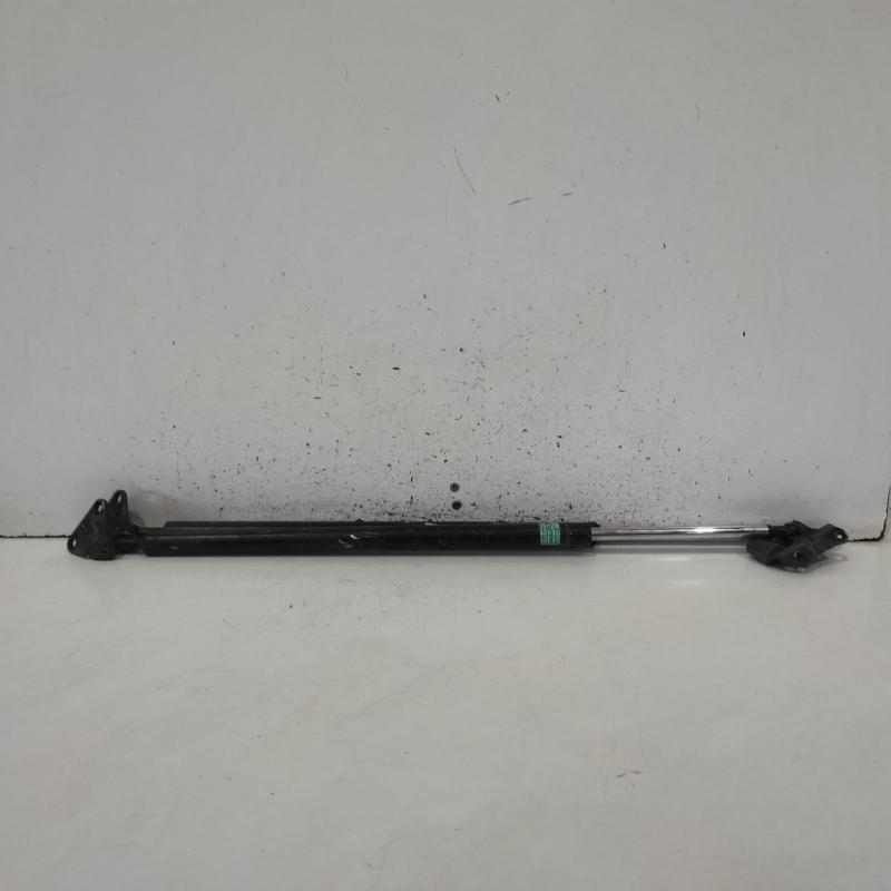 hatch strut
