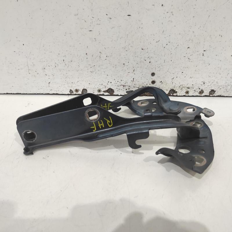 bonnet hinge/strut