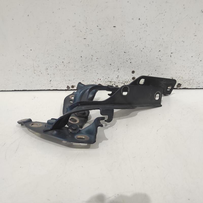 bonnet hinge/strut