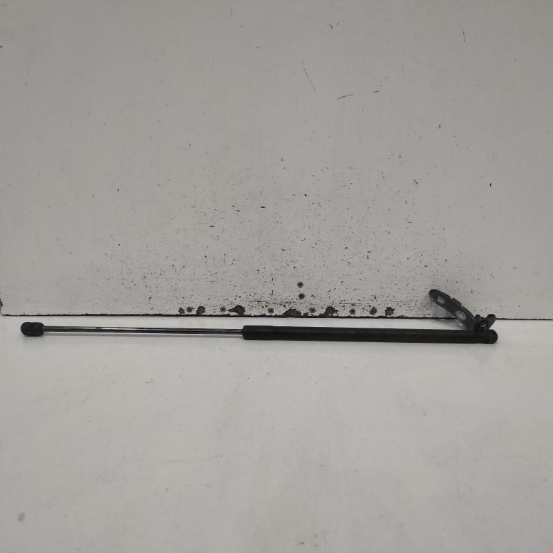 bonnet hinge/strut