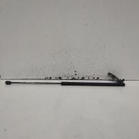 bonnet hinge/strut