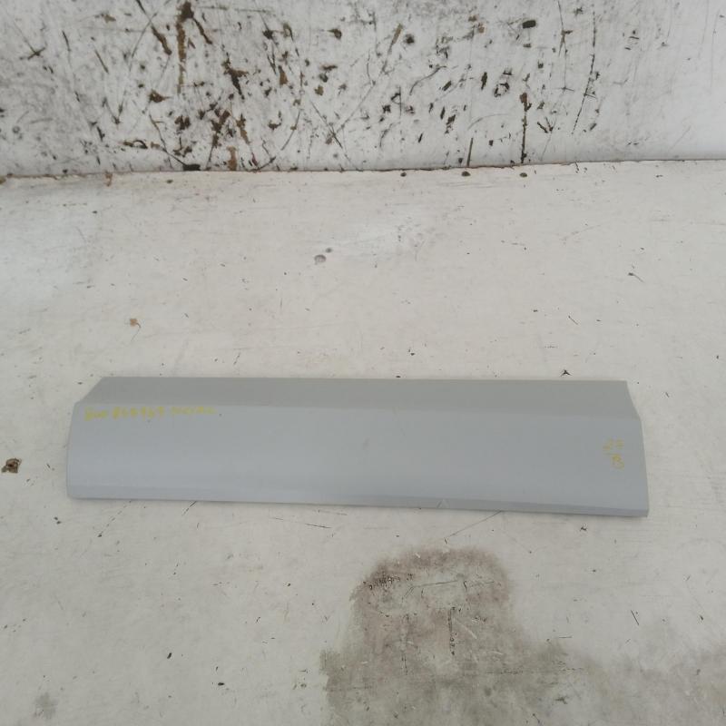 body/door mould
