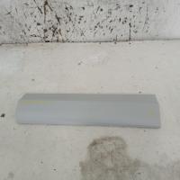body/door mould