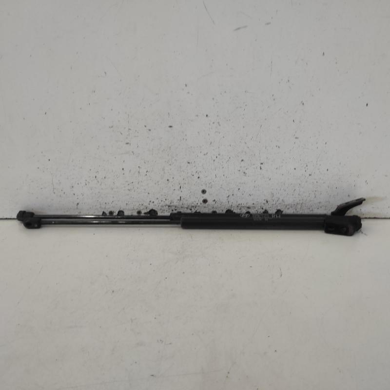 hatch strut