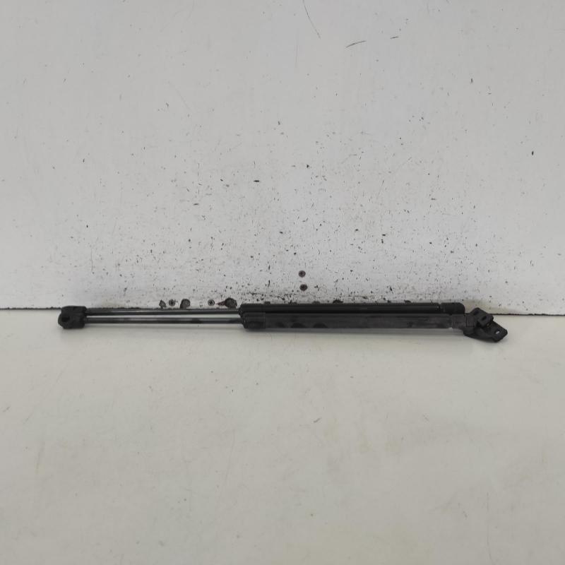 hatch strut