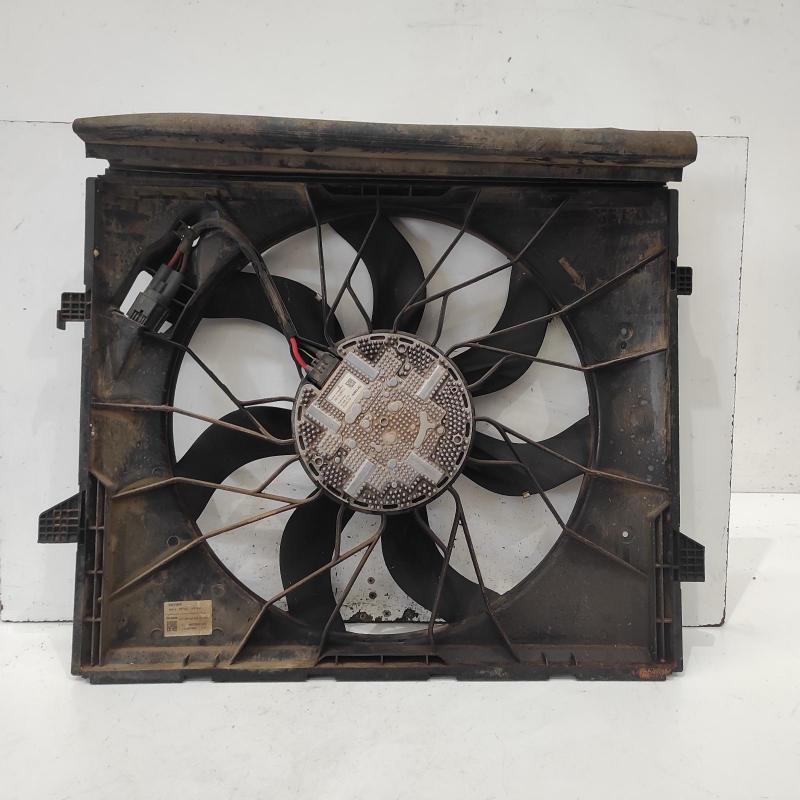 fan