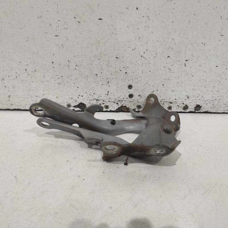 bonnet hinge/strut