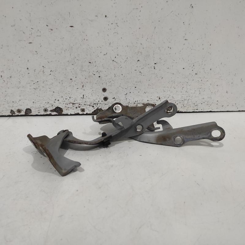 bonnet hinge/strut