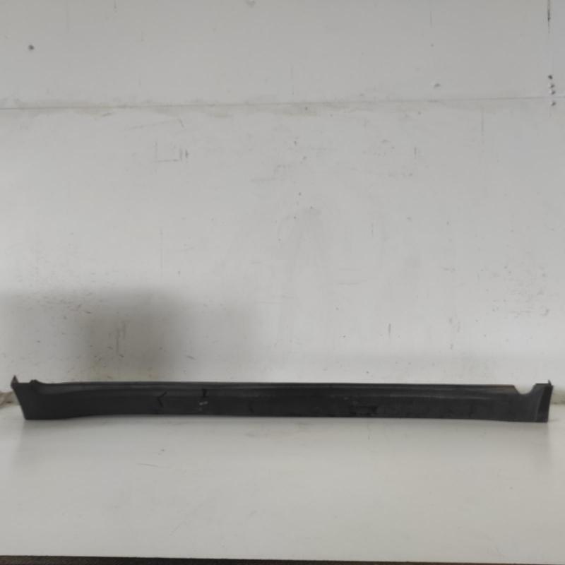 body/door mould