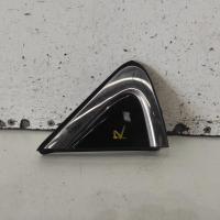 body/door mould