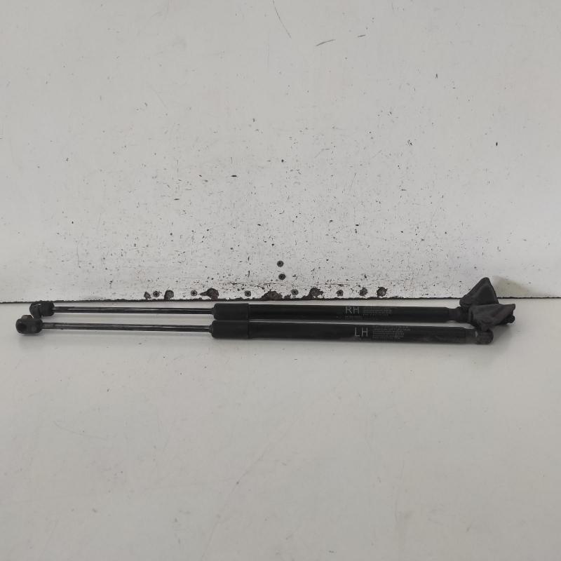 hatch strut