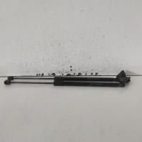 hatch strut