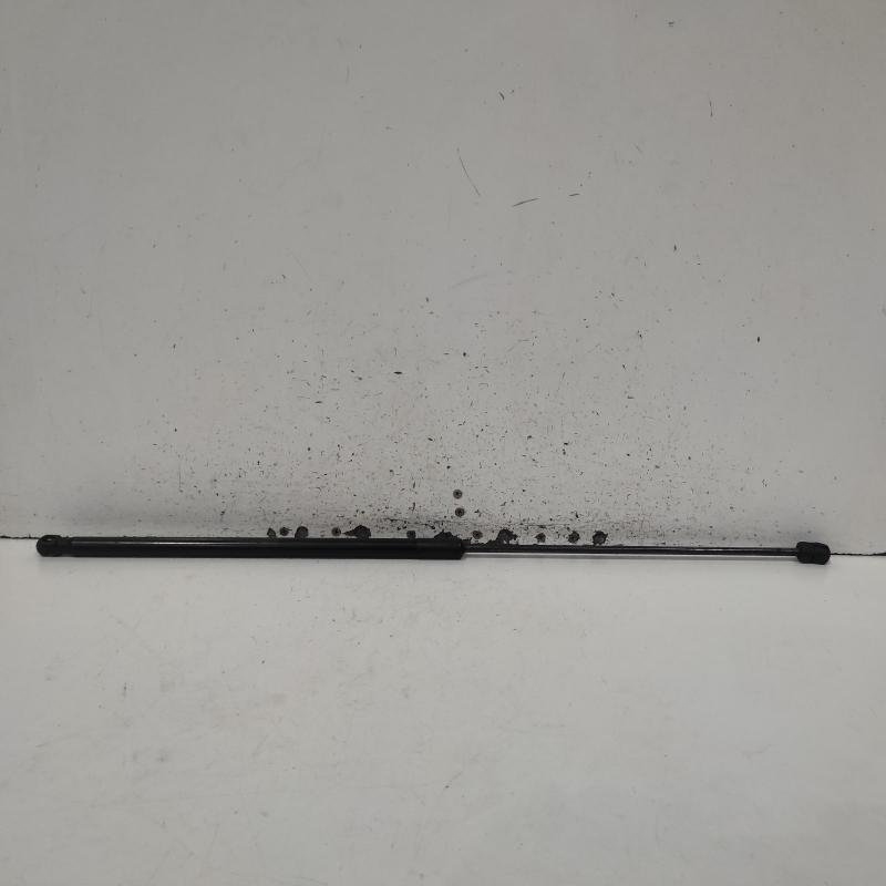 bonnet hinge/strut