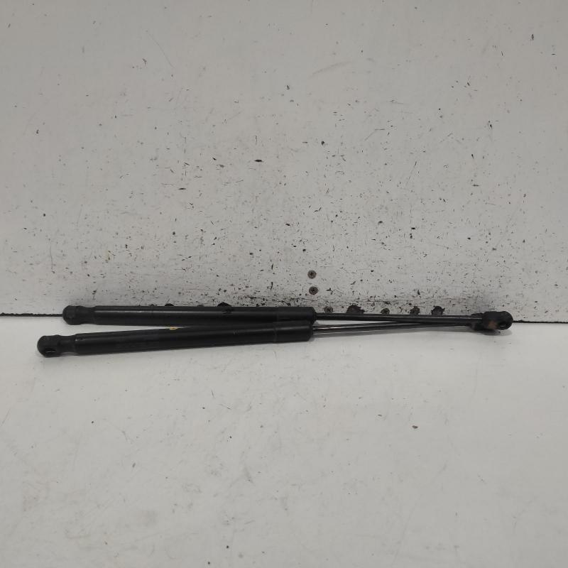 hatch strut