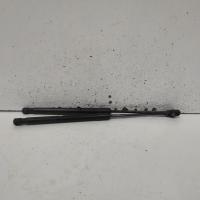 hatch strut