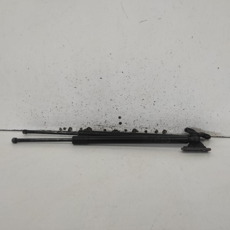 hatch strut