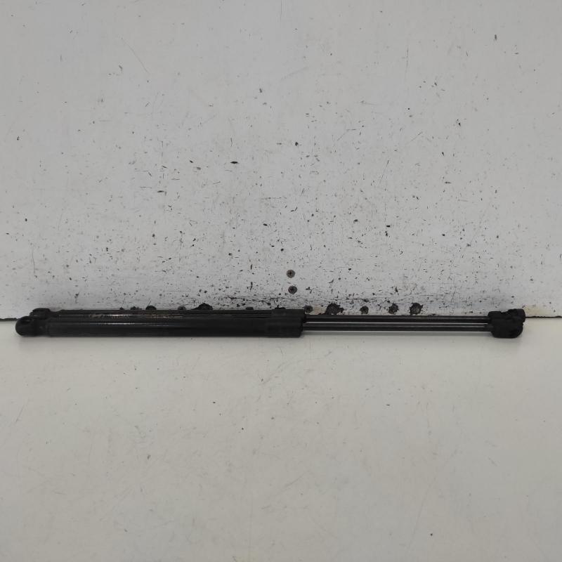 hatch strut