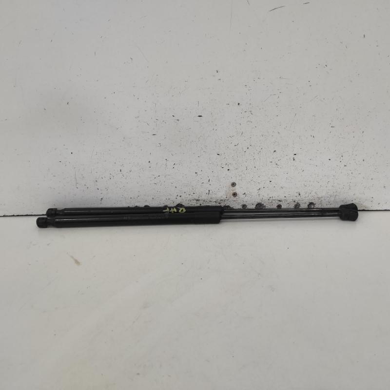 bonnet hinge/strut
