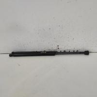bonnet hinge/strut