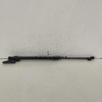 hatch strut