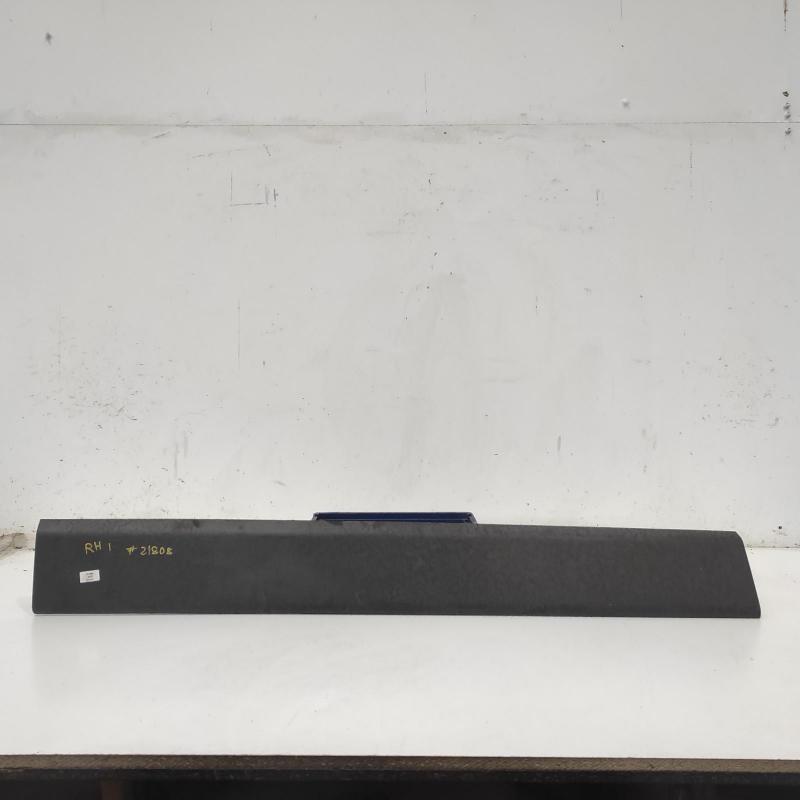 body/door mould