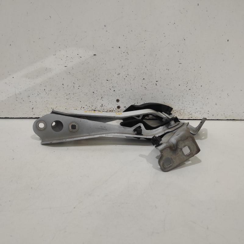 bonnet hinge/strut