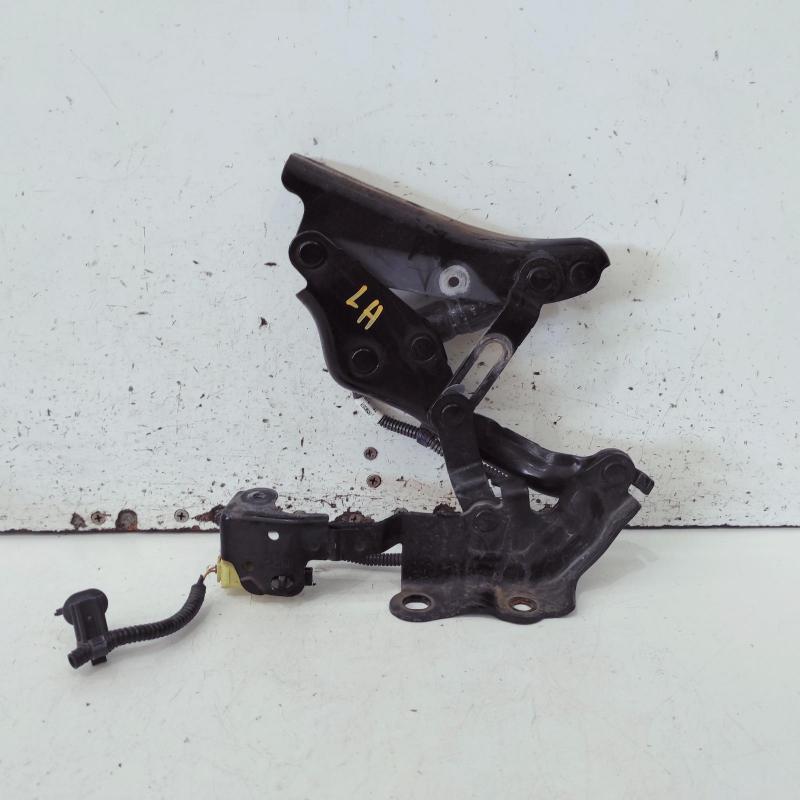 bonnet hinge/strut
