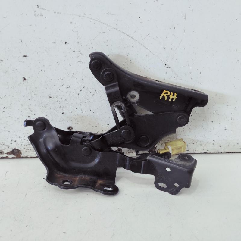 bonnet hinge/strut