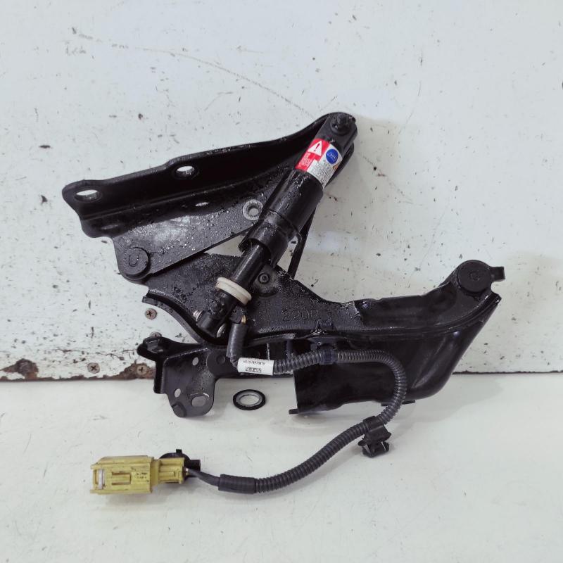bonnet hinge/strut