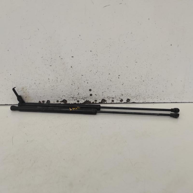 bonnet hinge/strut