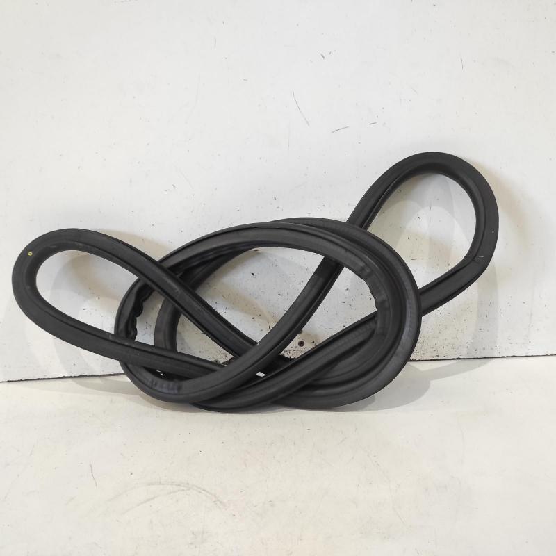body seal ruber