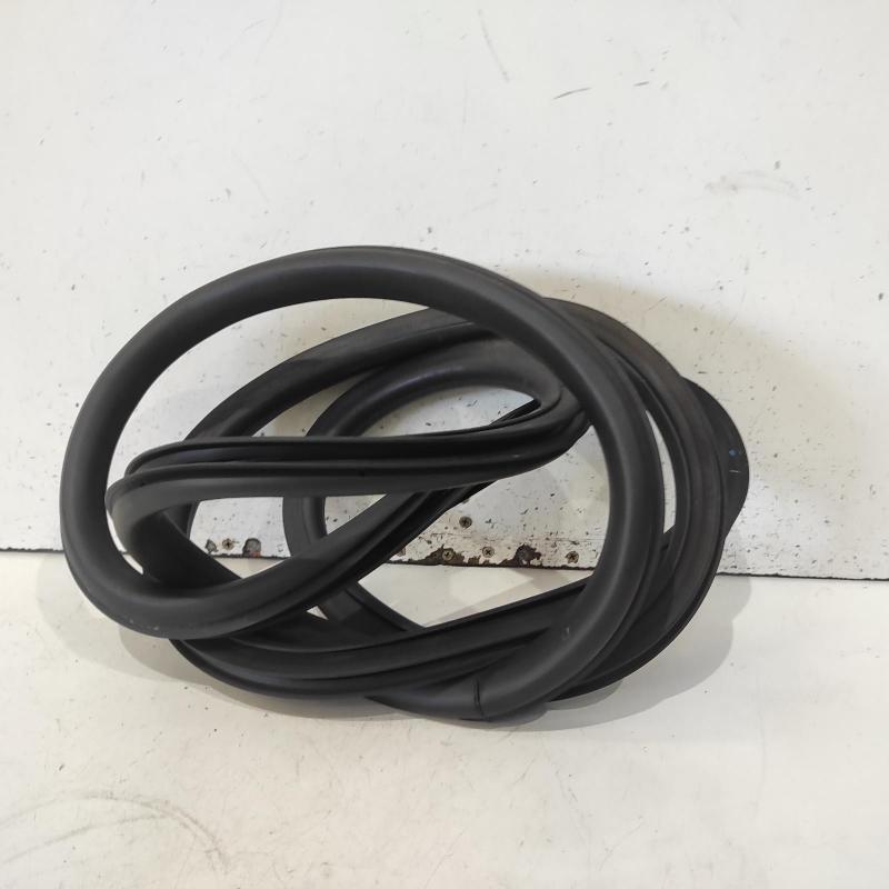 body seal ruber