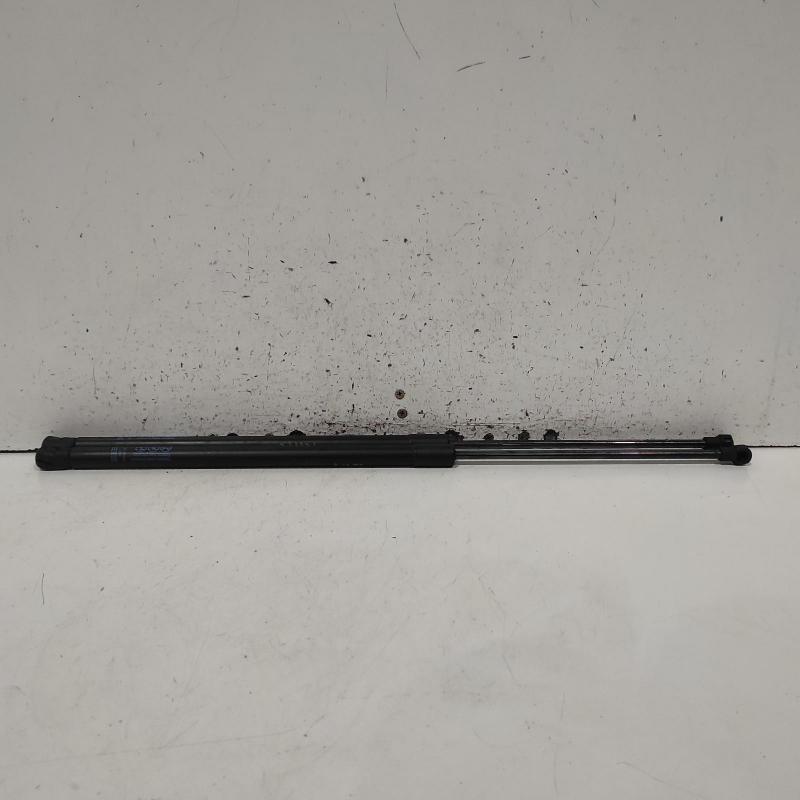 hatch strut